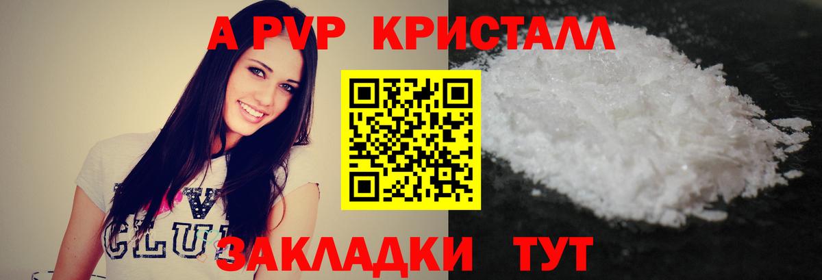 A PVP СК КРИС Алексеевка