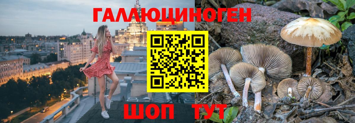 Алексеевка  Псилоцибиновые грибы GOLDEN TEACHER  Галлюциногенные грибы прущие грибы  магазин  наркотиков  Вход с VPN 